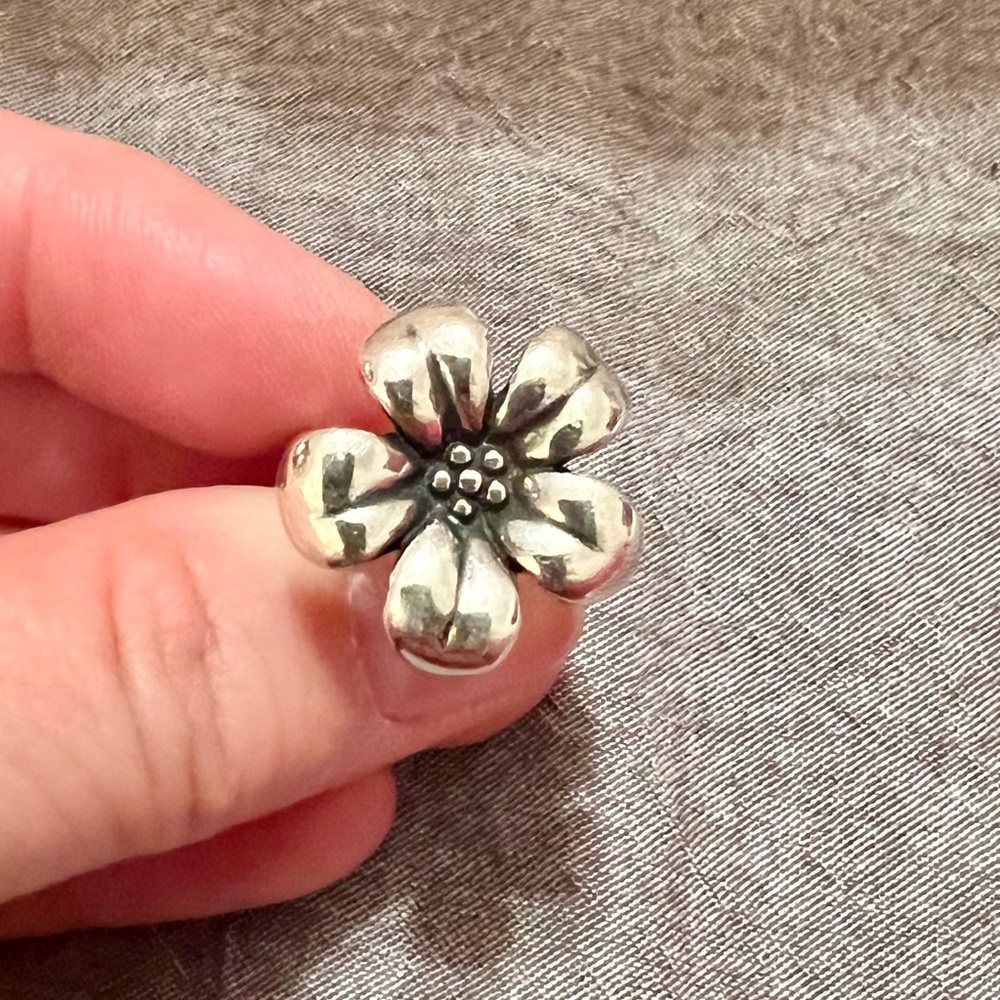 JA April showers ring. Retired